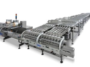 Fully automatic system for high speed packing of biscuits on pile