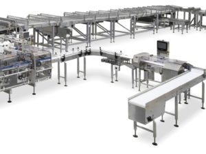 Complete and fully automatic system for high speed packing of biscuits on edge