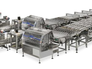 Complete and fully automatic system for high speed packing of crackers on edge