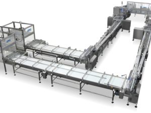 Fully automatic system for high speed packing of wafers
